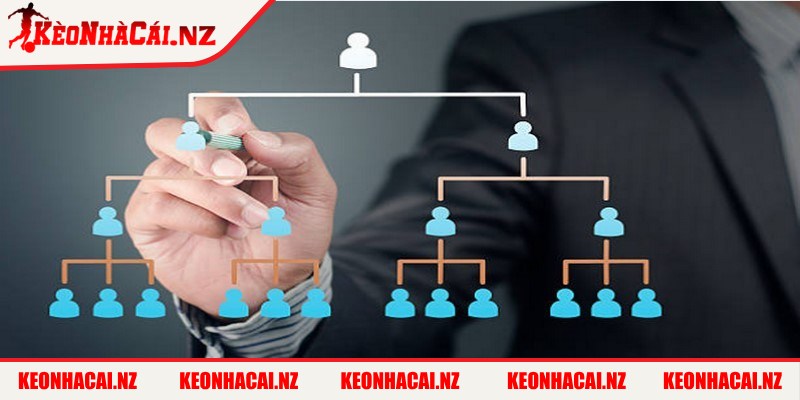 Sơ Đồ Tổ Chức Bộ Máy - so do to chuc bo may moi hoat dong Mọi hoạt động tại Kèo Nhà Cái đều hướng đến tính minh bạch