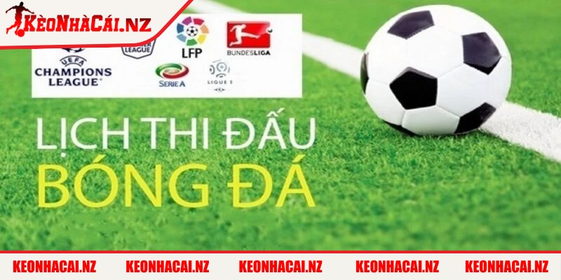 Về Chúng Tôi - ve chung toi dich vu noi bat Những dịch vụ nổi bật của nền tảng Kèo Nhà Cái